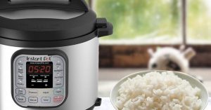 Top 5 Electric Rice Cooker Brands That Are Worth The Money